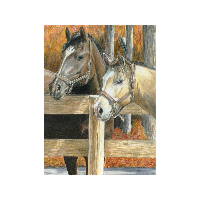 Set de colorat după numere, creioane colorate+ascuțitoare, 22x30 cm - Cai