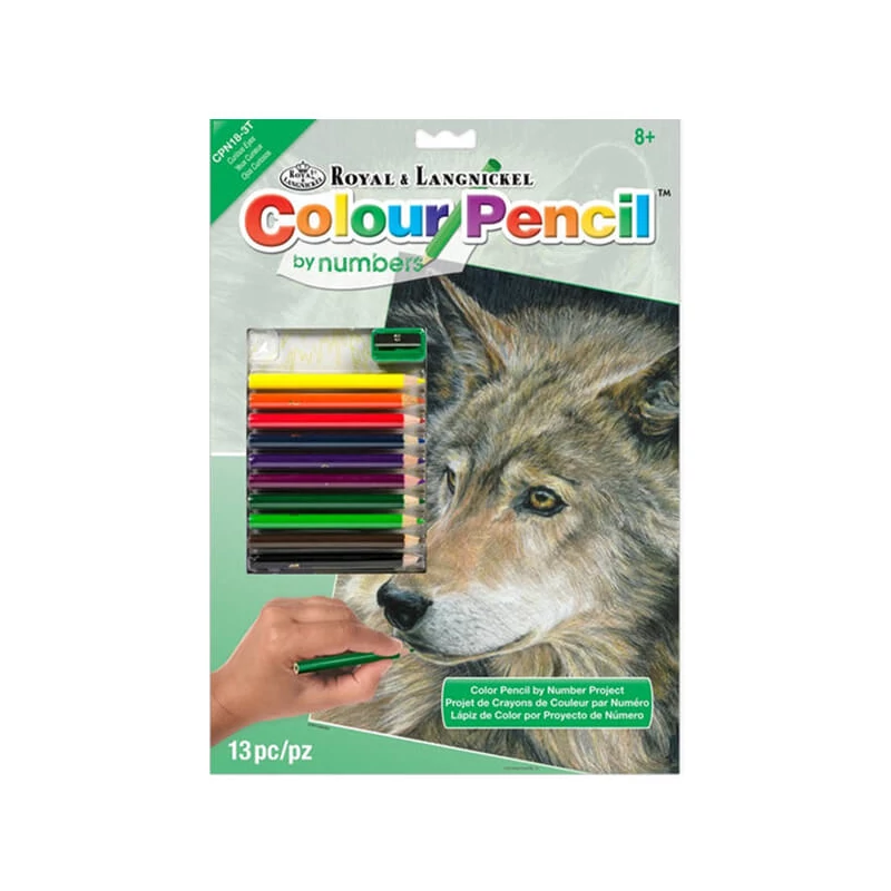 Set de colorat după numere, creioane colorate+ascuțitoare, 22x30 cm - Lup