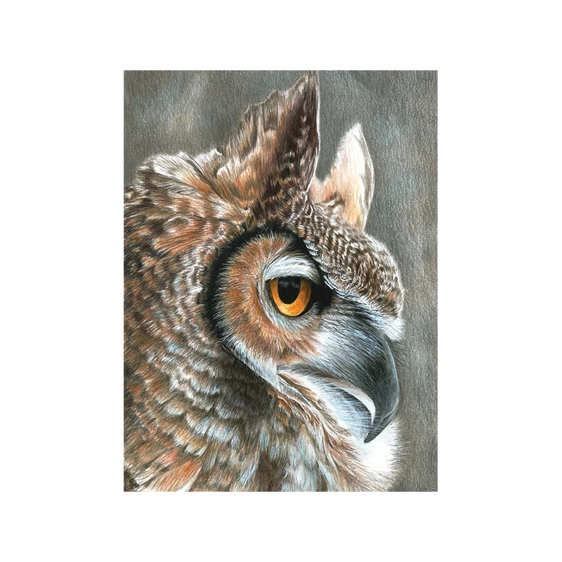 Set de colorat după numere, creioane colorate+ascuțitoare, 22x30 cm - Bufniță