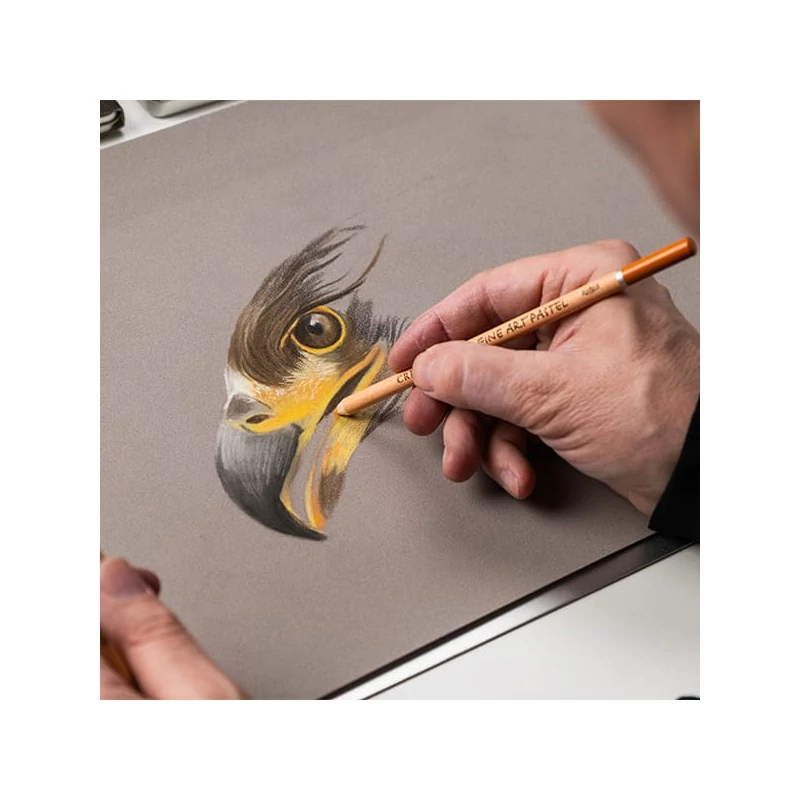 Cretacolor Eagle Set, set de desen, 12 buc, în cutie metalică