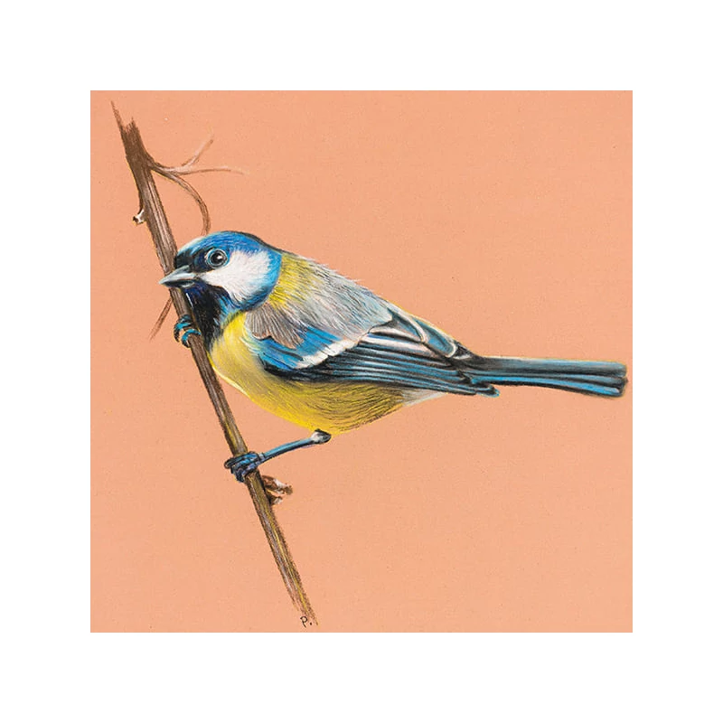 Set pastel Cretacolor Fine Art Pastel, 7 buc