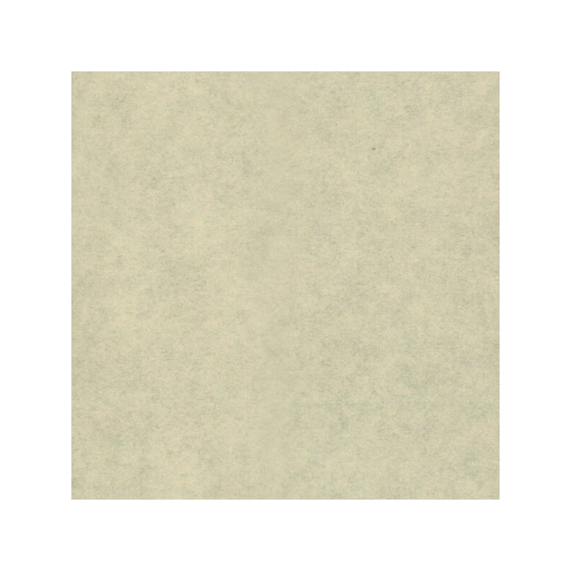 Hârtie mătase în pachet, 50x76 cm, 21 g, 6 buc - bej