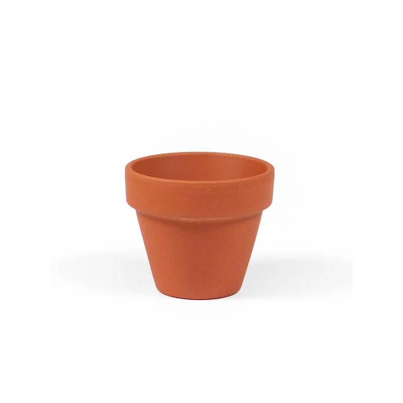 Ghiveci  flori - 5 cm