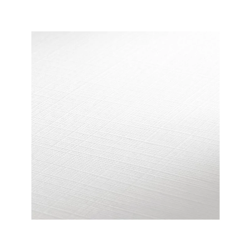 Hahnemühle carton pictură acrilică, 330 g, 50x60 cm