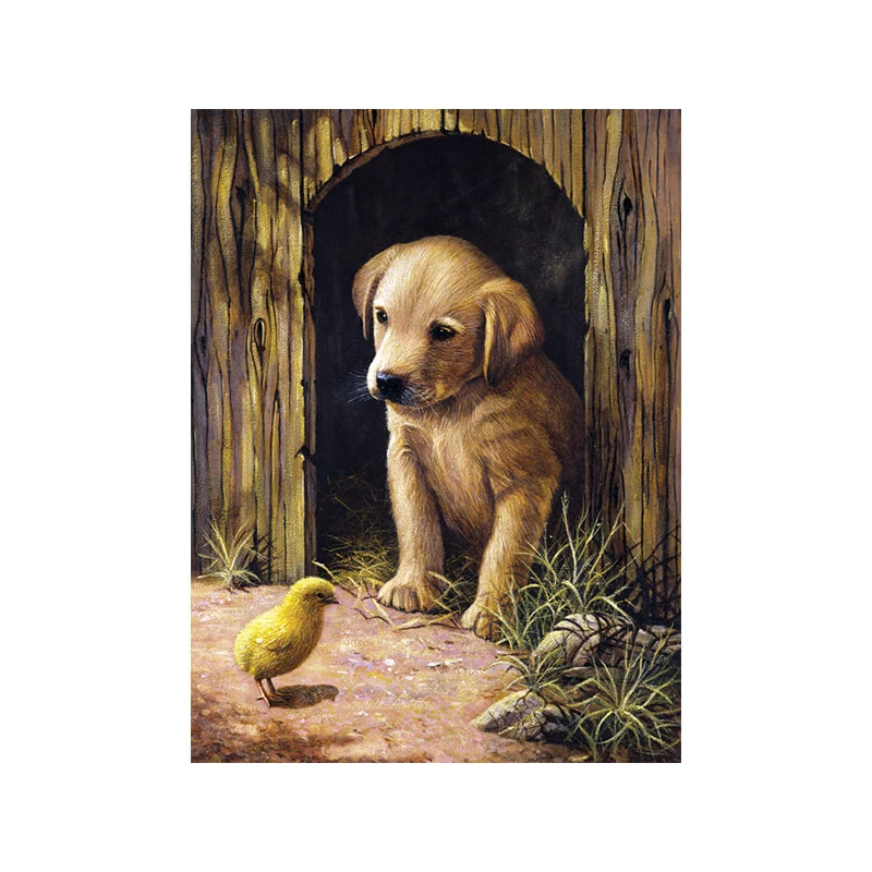 Set de colorat după numere, culori acrilice+pensulă, 22x30 cm - catelus Labrador