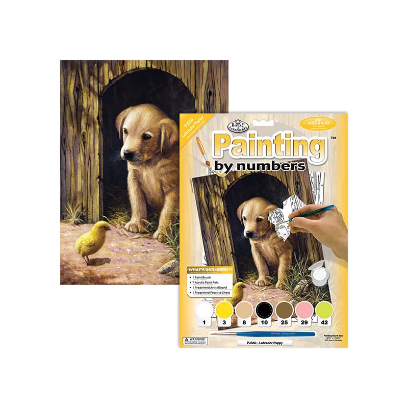 Set de colorat după numere, culori acrilice+pensulă, 22x30 cm - catelus Labrador