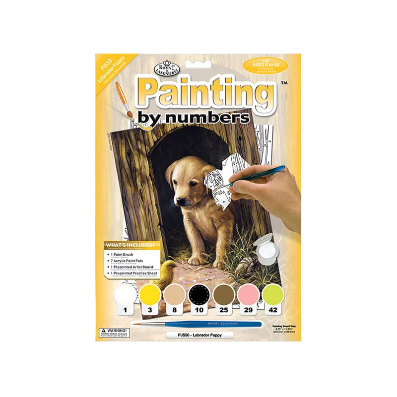 Set de colorat după numere, culori acrilice+pensulă, 22x30 cm - catelus Labrador