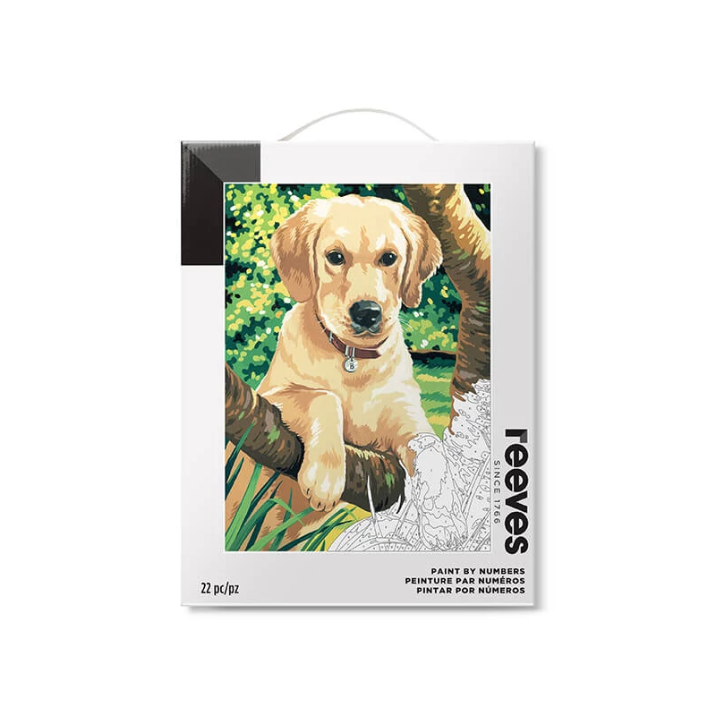 Reeves set pictură pe numere, 30x40 cm - Labrador