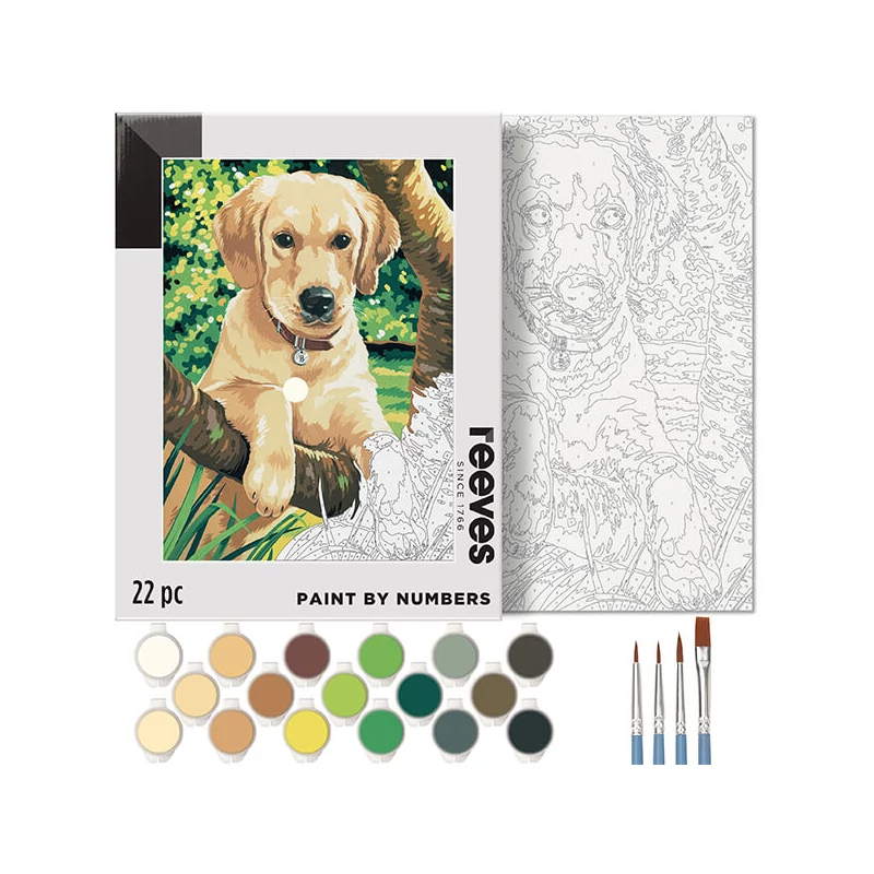 Reeves set pictură pe numere, 30x40 cm - Labrador