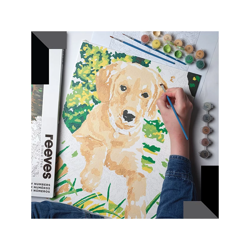 Reeves set pictură pe numere, 30x40 cm - Labrador