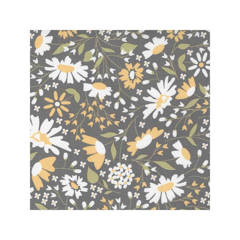 Material patchwork  - Moda - Buttercup and Slate by Corey Yoder 29151-17