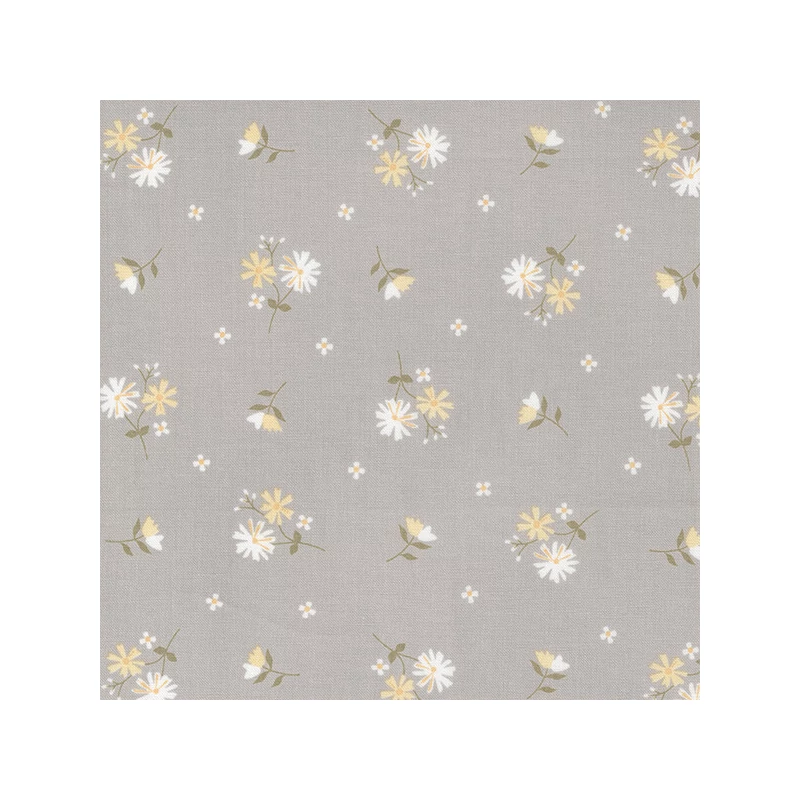 Material patchwork  - Moda - Buttercup and Slate by Corey Yoder 29153-16