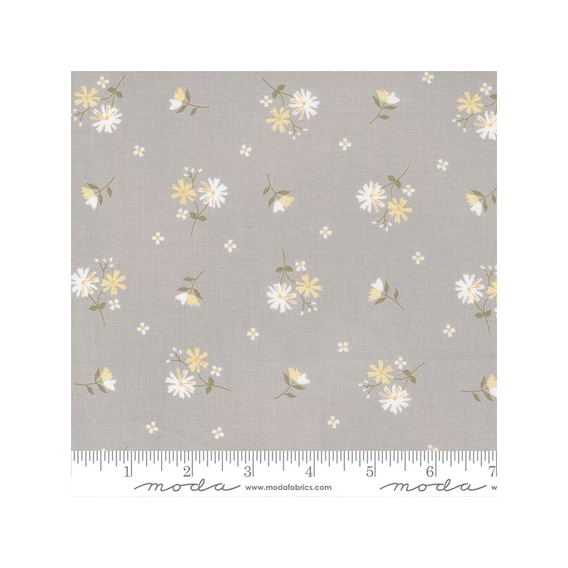 Material patchwork  - Moda - Buttercup and Slate by Corey Yoder 29153-16