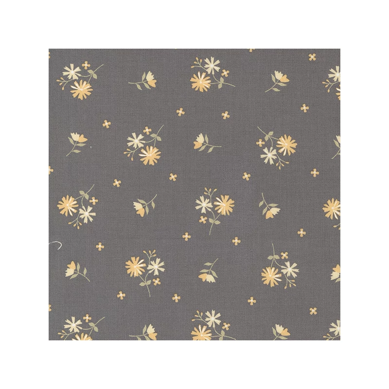 Material patchwork  - Moda - Buttercup and Slate by Corey Yoder 29153-17
