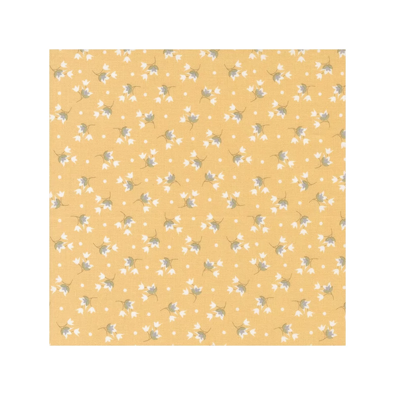 Material patchwork  - Moda - Buttercup and Slate by Corey Yoder 29154-12