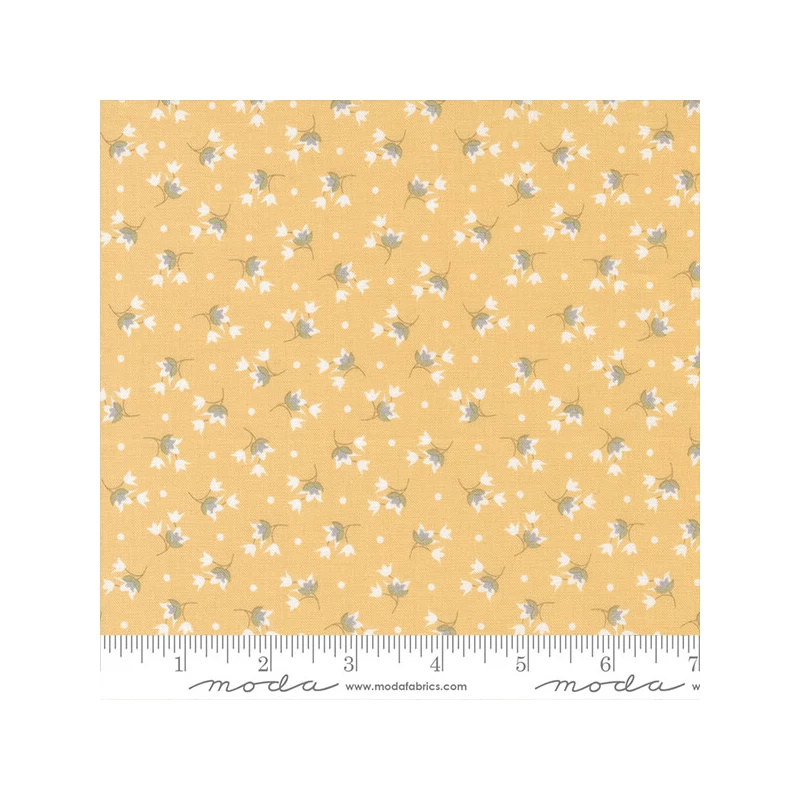 Material patchwork  - Moda - Buttercup and Slate by Corey Yoder 29154-12