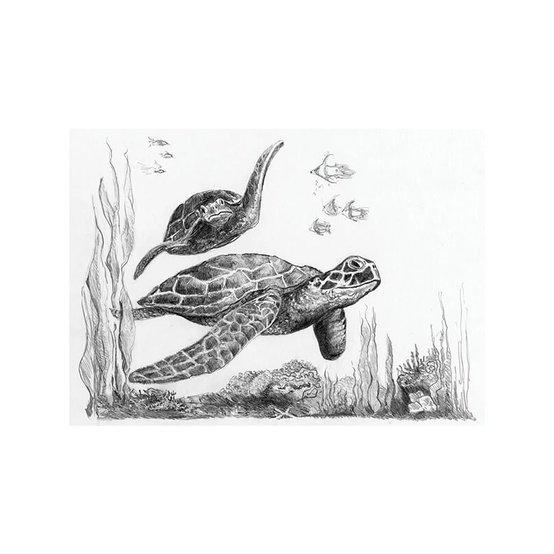 Mini set de desen grafic cu unelte, 12x18 cm - Broaște țestoase de mare