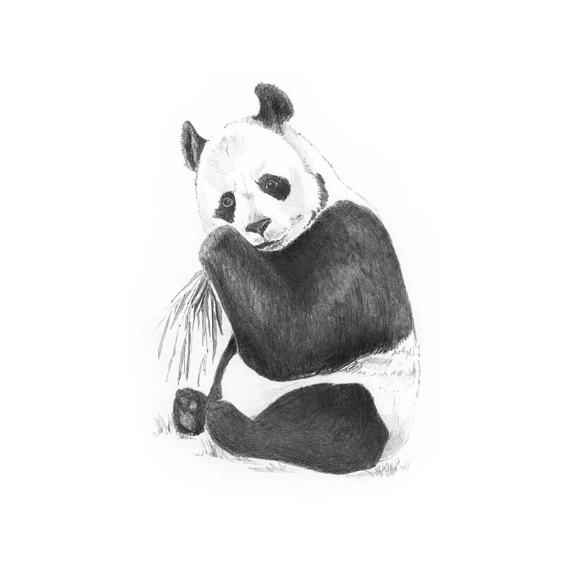 Mini set de desen grafic cu unelte, 12x18 cm - Panda